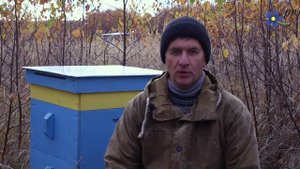 Когда Карпатка и Карника бывают злыми