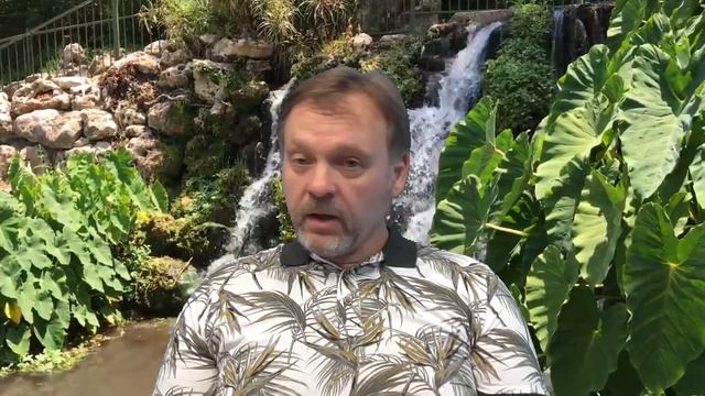 Усмешка Творца или о чем умолчал Сергей Морозенко.
