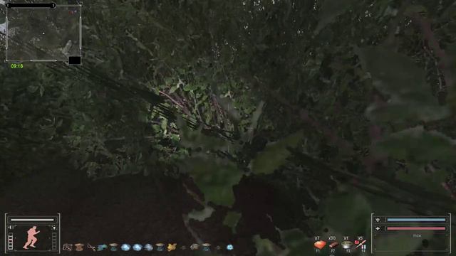 Последний сталкер 6