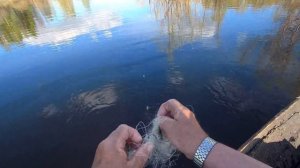 Весенние  разливы .  Проверяем  сеть...