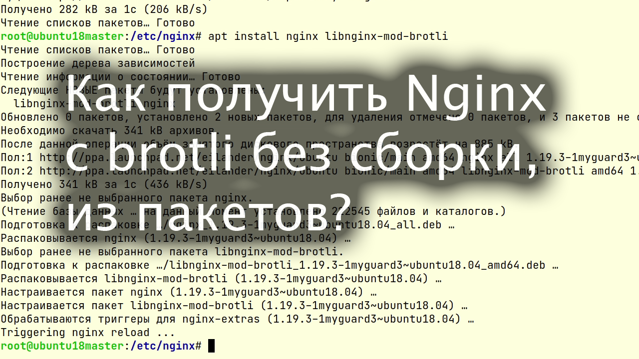 Как получить Nginx+brotli без компиляции?