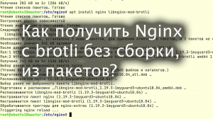 Как получить Nginx+brotli без компиляции?