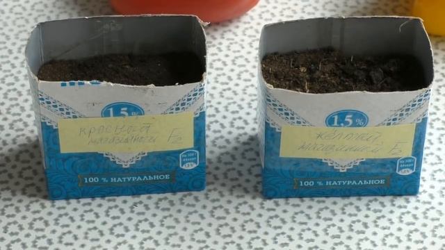 Можно ли брать для посева семена магазинных перцев смотреть онлайн