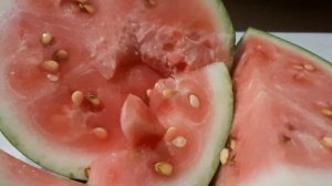 Растут ли арбузы в Рязани? Мы такого не ожидали!