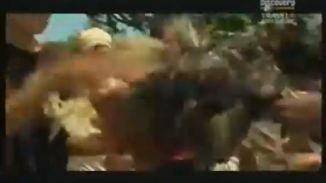 Кубинский бокс III wmv смотреть онлайн