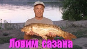 Рыбалка на сазана. Кама . Сентябрь.