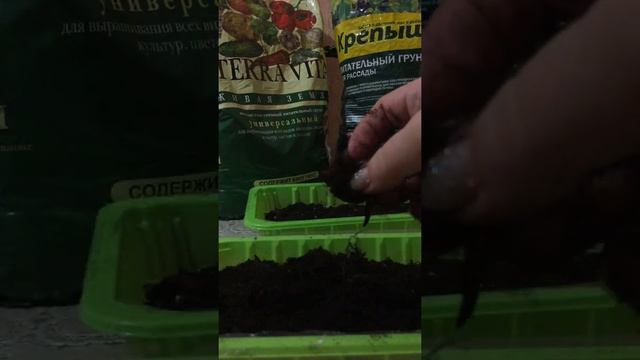 Купить грунт для рассады и не разориться))) Какие из недорогих грунтов нравятся мне.