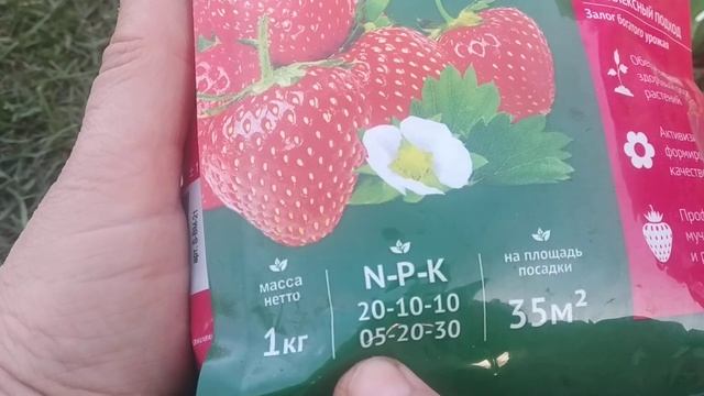 Удобрения для клубники - чем кормим? Часть 1 (большая) смотреть онлайн