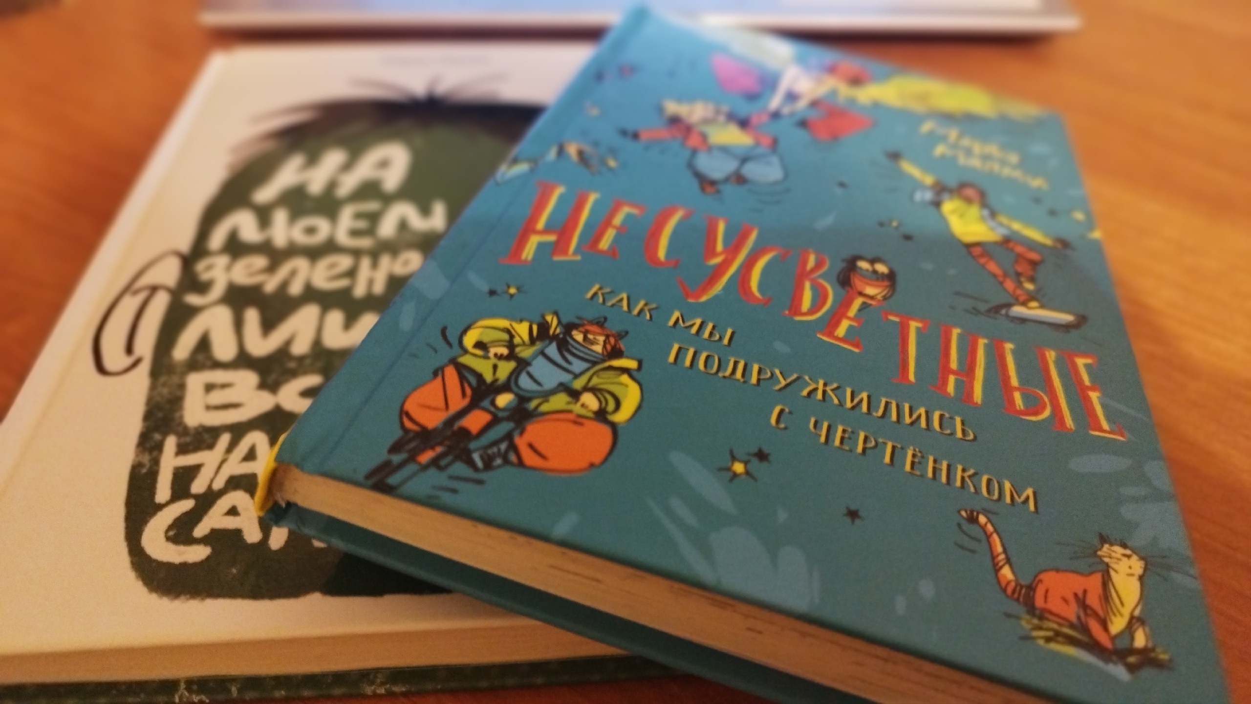 Детская писательница Маръа Малми #детскиекниги #литература #Карелия #Финляндия