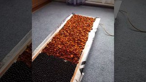 Сушим фрукты для компота.
