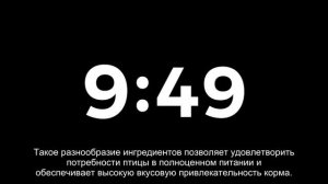 Кормление щеглов