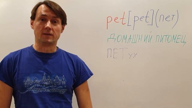 КАК ЗАПОМНИТЬ слово PET? Английский для НАЧИНАЮЩИХ С НУЛЯ