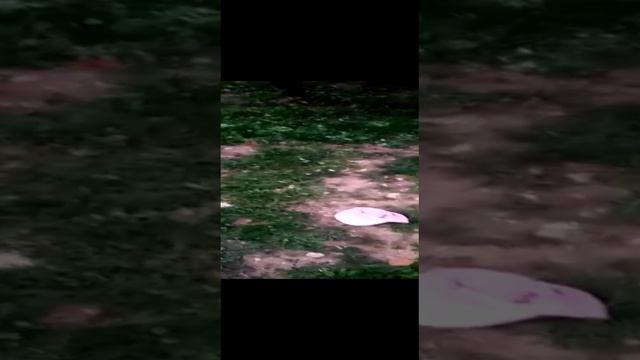 На горке смотреть онлайн