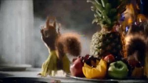 Белки пляшут. Новый год 2019