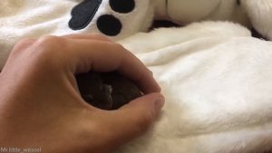 Маленькая ласка засыпает | Mustela nivalis