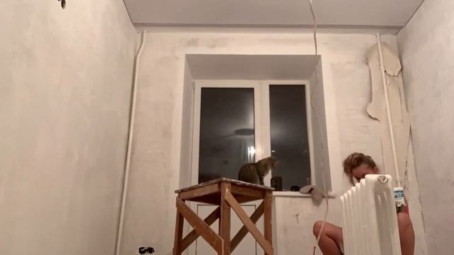 Реставрирую старые чугунные батареи/натяжной потолок и обои в спальне/ремонт своими руками/мотиваци