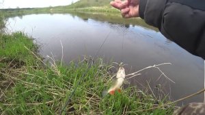 Рыбалка на спиннинг с берега. И даже рыба клюёт)))