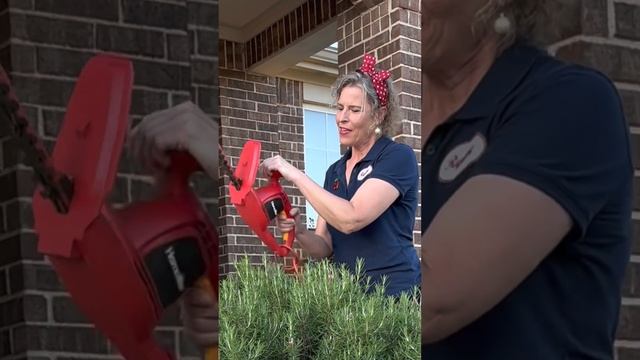 ? IT'S STILL ALIVE!! // Rosemary Bush Pruning with a Homelite Hedge Trimmer After a Hard Freeze!