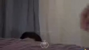 Классный клип для влюблённых любить меня обещала 💔💔💔