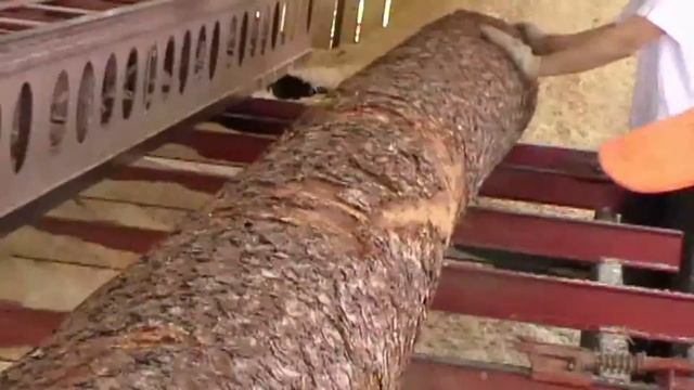 Услуги сушки на импортном оборудовании смотреть онлайн