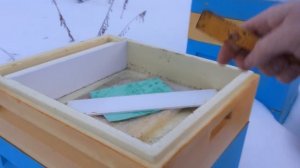 Зимовка пчел на улице в улье из ППУ Ру Улей, зимний осмотр