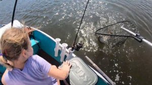 Young Angler catches an impressive REDFISH in the Florida Marsh. Released for another day!