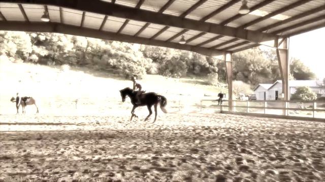 In Loving Memory of Hashtag You're It aka Tag - #rip Gone Too Soon смотреть онлайн