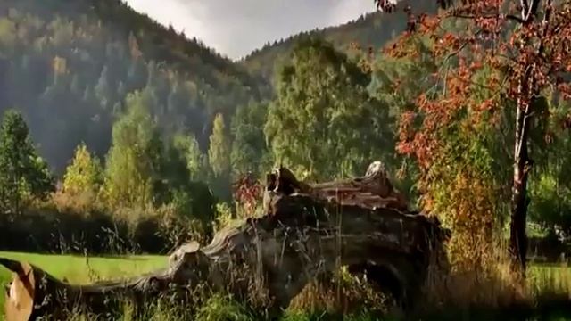 ОСЕННИЙ БЛЮЗ смотреть онлайн