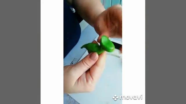 Видеозанятие по лепке Динозавра (часть 2) смотреть онлайн