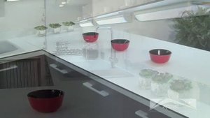 Кухни "Артис". "Концепт"