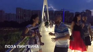 Анекдот: поза пингвина