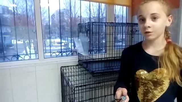 Посещение ветеринарного центра ДокВет (3 часть) смотреть онлайн