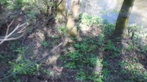 НАСОС КАЧАЕТ НА 300 МЕТРОВ!!! ВОЗМОЖНОСТИ ВИБРАЦИОННОГО НАСОСА.