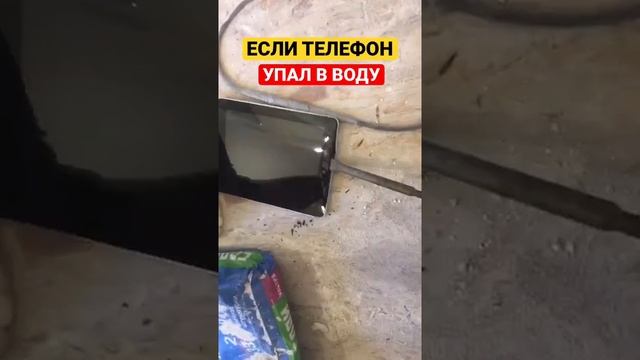 ЕСЛИ ТЕЛЕФОН УПАЛ В ВОДУ | iPhone ПОСЛЕ ВОДЫ