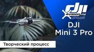 DJI Mini 3 Pro - Творческий процесс.mp4