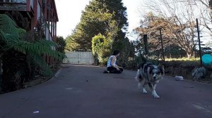 New Year, Same Bod Funny Fitness Fails Compilation
