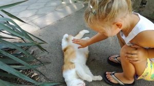 Руки мыть нужно каждый день. Клип от Насти и рыжего кота \ Like Family