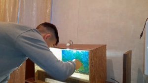 Уборка в террариуме эублефара!