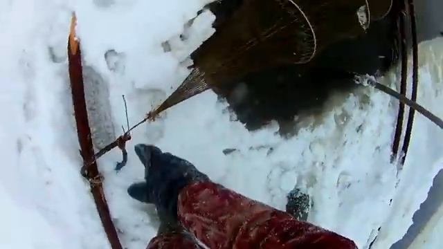 Рыбалка в Коми. Витили, продольник. смотреть онлайн