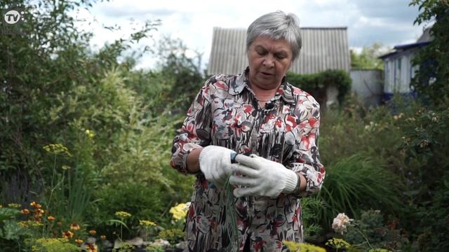 Когда Убирать Лук ✔️ Как ПРАВИЛЬНО Хранить Лук ? Советы От Хитсад ТВ смотреть онлайн