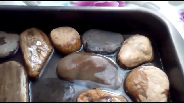 Влажность воздуха в жизни растений. Почему это так важно..