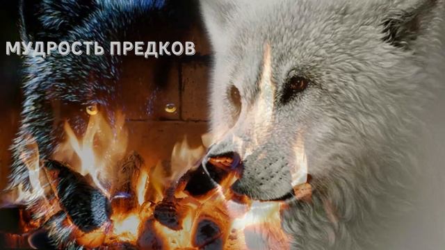 Короткая и Очень Мудрая Притча про Добро и Зло смотреть онлайн