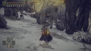 Elden Ring | Bandit curved sword is The Best Weapon For Bleed in The Game (NG+)