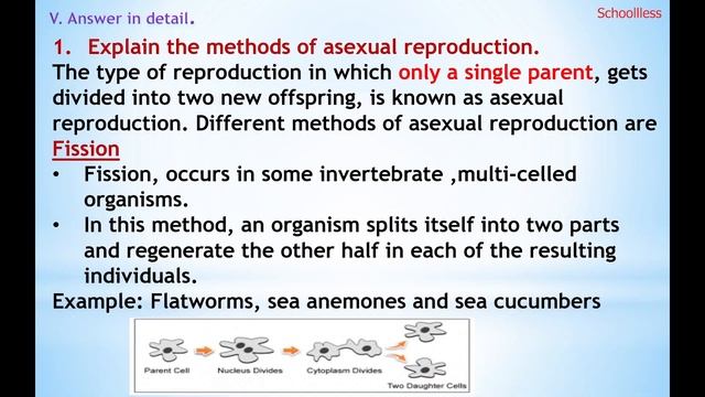5th std Unit-2 Animals| Science Term 3 Evaluation ANSWERS|TN samacheer class 5 |Schoolless смотреть онлайн