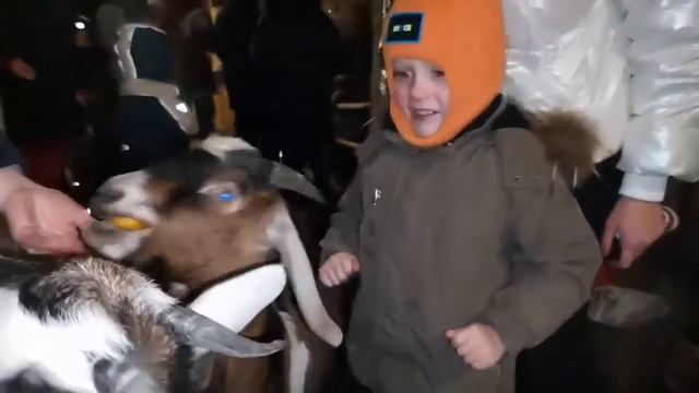 С наступающим 2021 годом ( Казачья резиденция деда мороза ) г.Тюмень смотреть онлайн