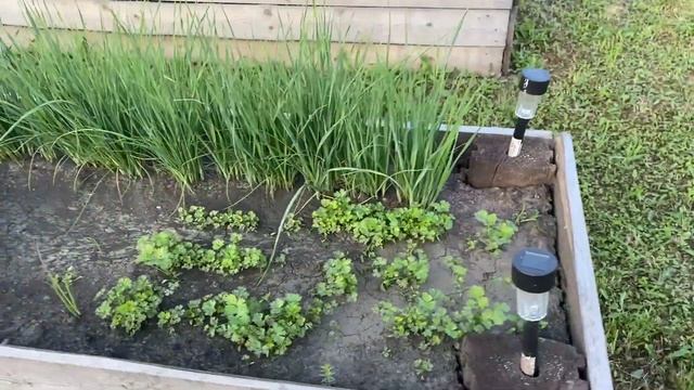 Дача, наш сад, огород смотреть онлайн