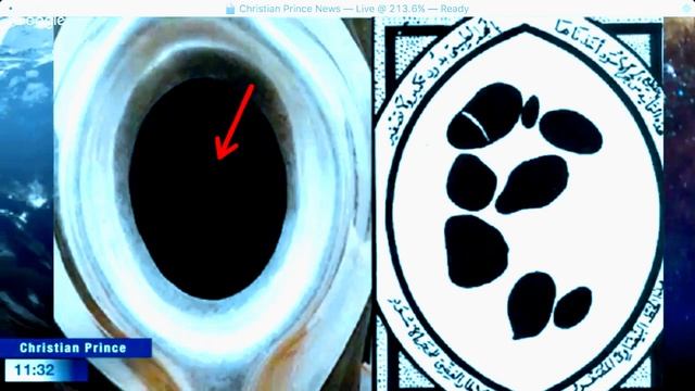 The Truth About "THE BLACK STONE" - CHRISTIAN PRINCE смотреть онлайн