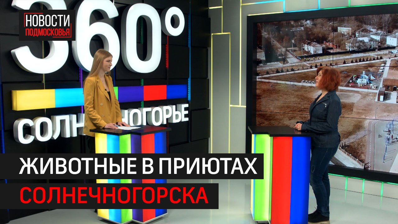 Животные в приютах Солнечногорска // Интервью 360° Солнечногорск