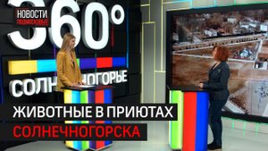 Животные в приютах Солнечногорска // Интервью 360° Солнечногорск