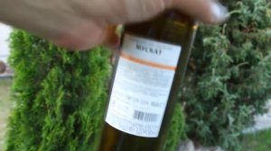 ЛАЙФХАК: КАК БЕЗ ШТОПОРА ОТКРЫТЬ БУТЫЛКУ ВИНА?